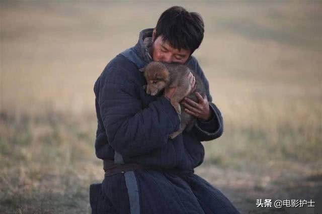 《狼图腾》重映,2015年首轮票房大卖6.9亿,冯绍峰最轰动一次