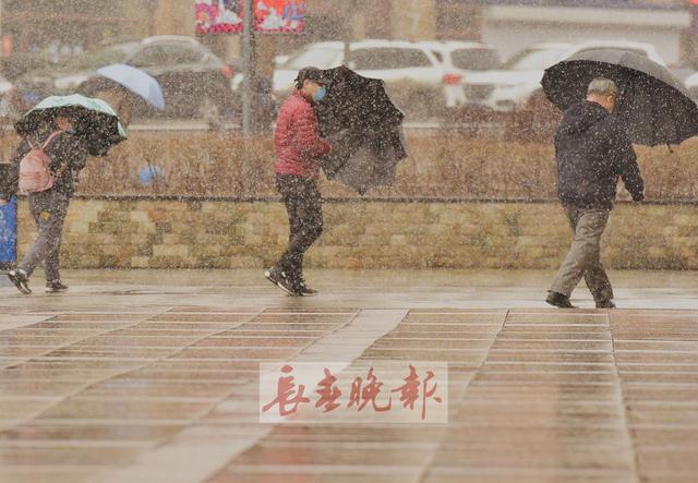 细雨转身,变成了小雪花,零零星星地飘落,渐渐的,雪花占了上风,小雨