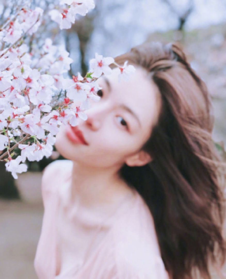 樱花女神大PK!杨幂baby倪妮李沁刘雯谁魅力强?