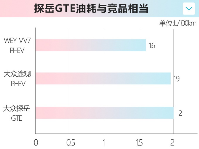 一个月后上市,大众探岳混动,油耗2L,动力比2.0T还强