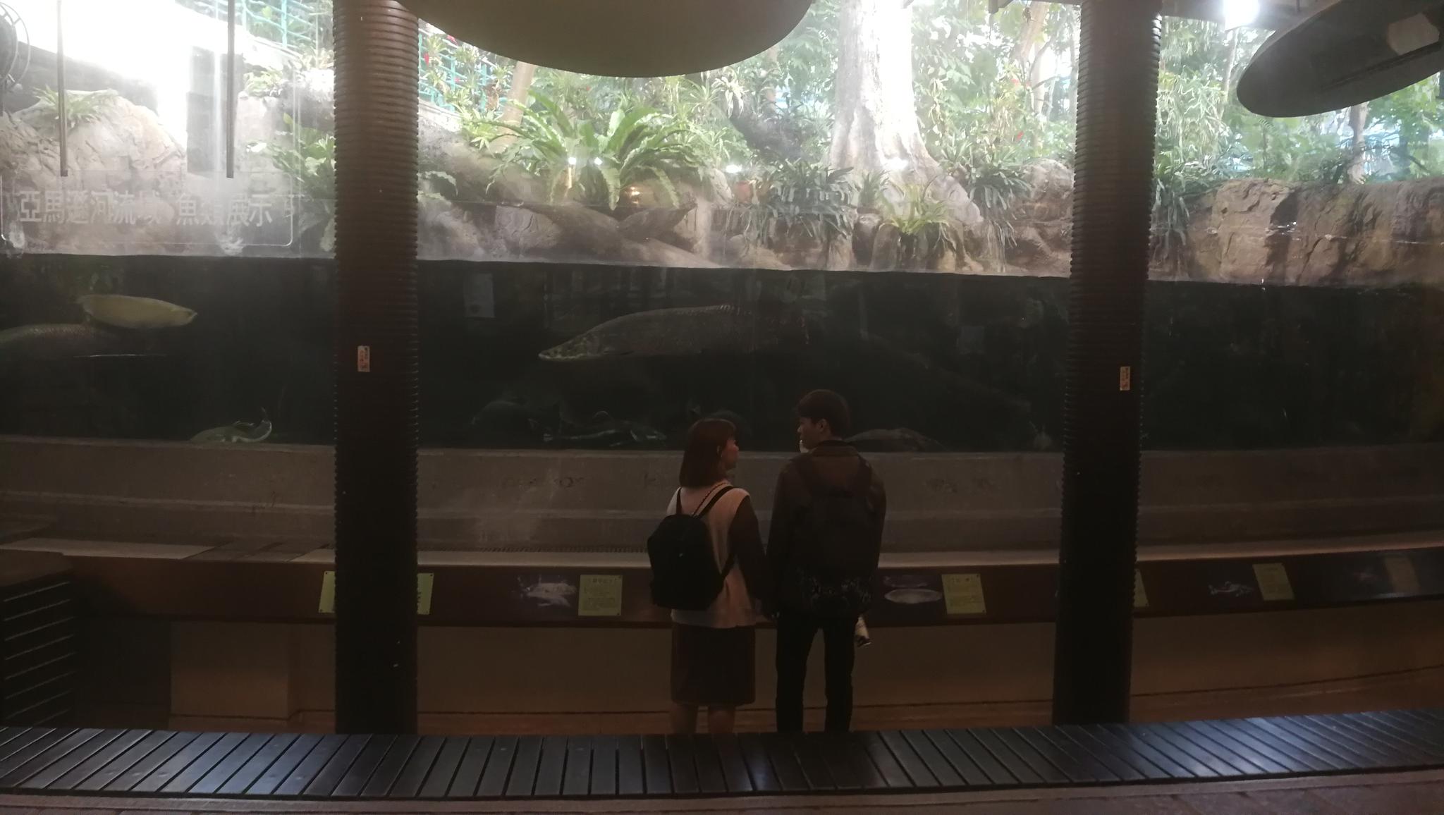 2020年1月22日下午，建成于1999年的“国立自然科学博物馆”热带植物园内，众多参观者中的一对年轻人。