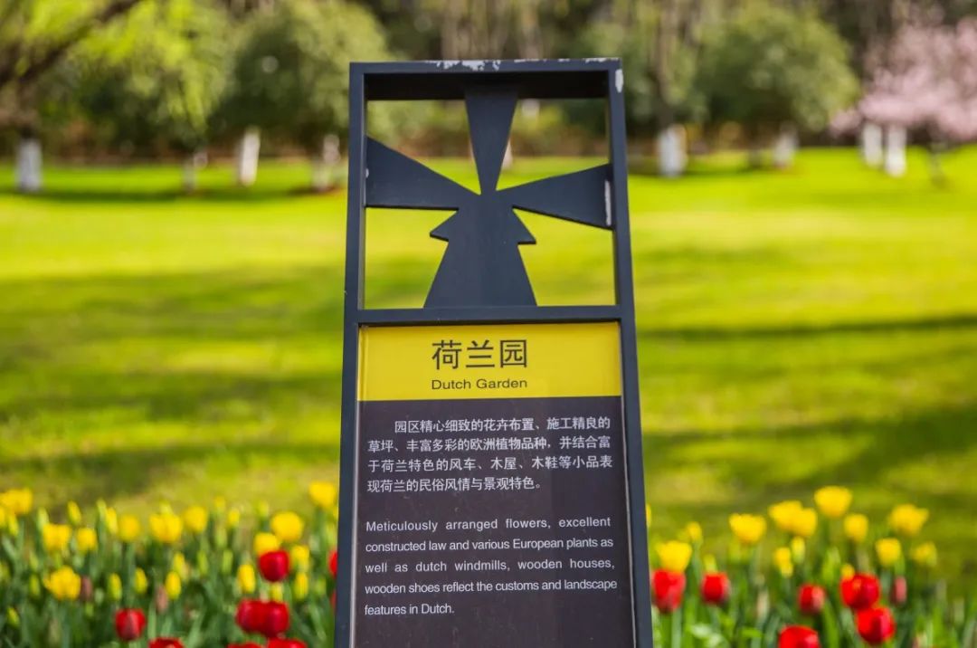 花开成海!春天的绿博园,美到窒息!