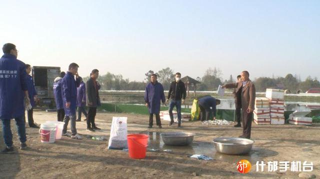 四川什邡市首批大闸蟹苗下塘,有望中秋“爬”上市民餐桌