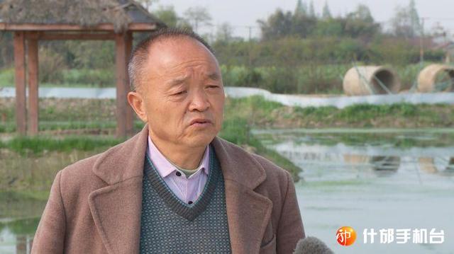 四川什邡市首批大闸蟹苗下塘,有望中秋“爬”上市民餐桌