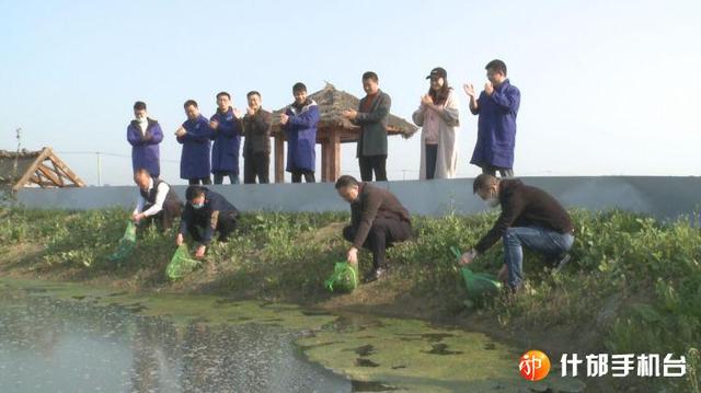 四川什邡市首批大闸蟹苗下塘,有望中秋“爬”上市民餐桌
