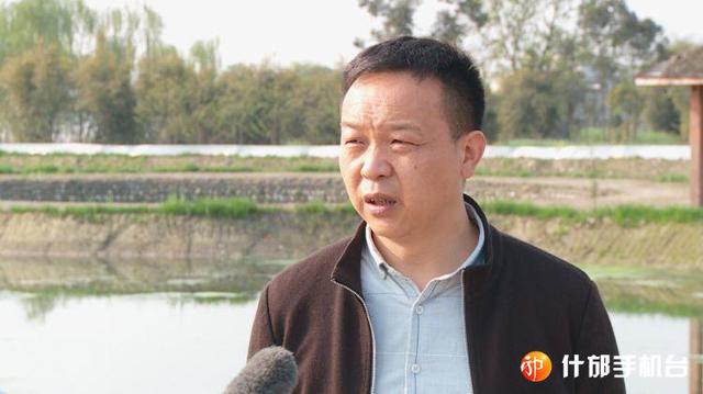 四川什邡市首批大闸蟹苗下塘,有望中秋“爬”上市民餐桌