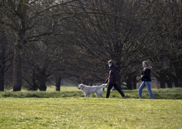 3月26日，在英国伦敦，一名女士戴口罩在公园里遛狗。新华社 图