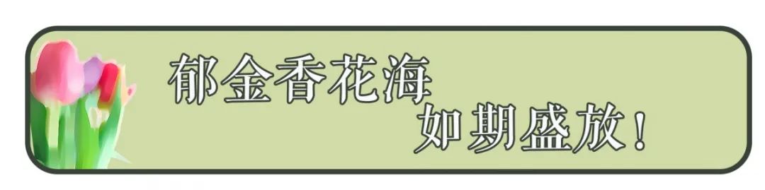 花开成海!春天的绿博园,美到窒息!