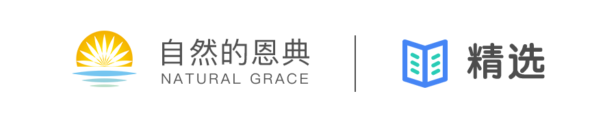 全球确诊51万例 我却第一次读懂中国