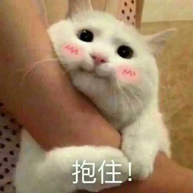 甜系女星的娱乐圈生存之道