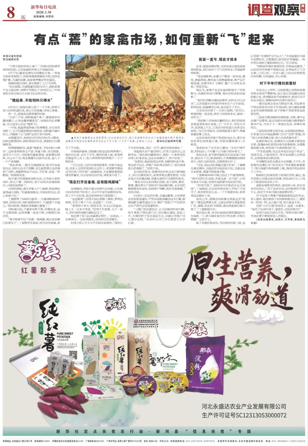 强制蛋鸡换羽毛,不给饲料只喂水:疫后养殖业回暖难在哪?|电讯特稿