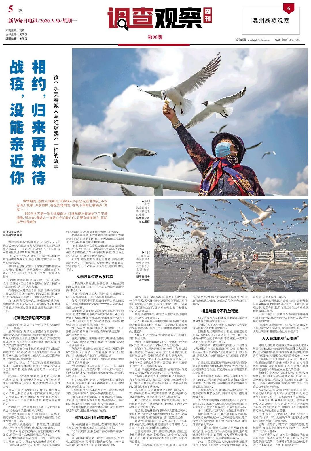 春城送别红嘴鸥:万人围观“云喂鸥”,回来一定好好款待你|电讯特稿