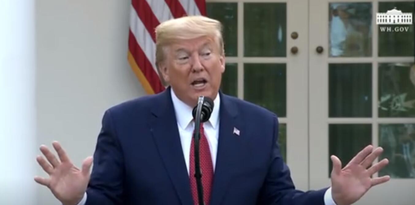 特朗普记者会上发表讲话 视频截图