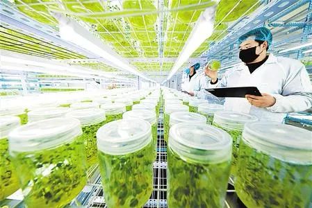 砥砺实干书写春天华章——甘肃省奋力推进复工复产工作纪实