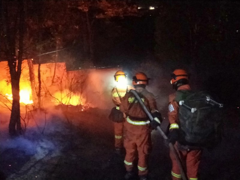  四川省森林消防总队消防员在林中灭火。四川省森林消防总队供图