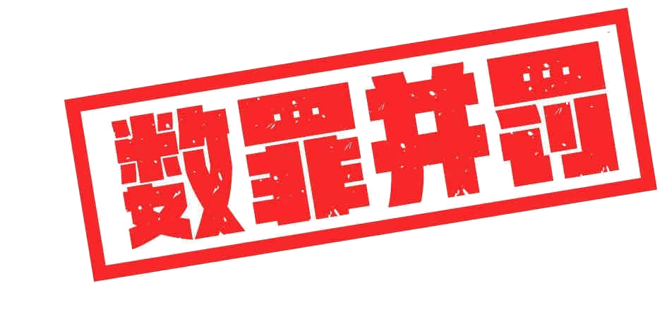 江西一黑恶势力栽了 最高获刑20年!