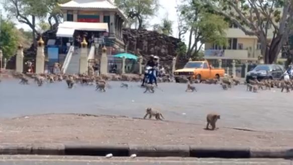 地球开启自救模式？科学发现:新冠正在阻止全球变暖！