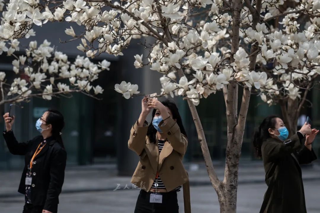 【北京】北京CBD一座写字楼里的复工故事