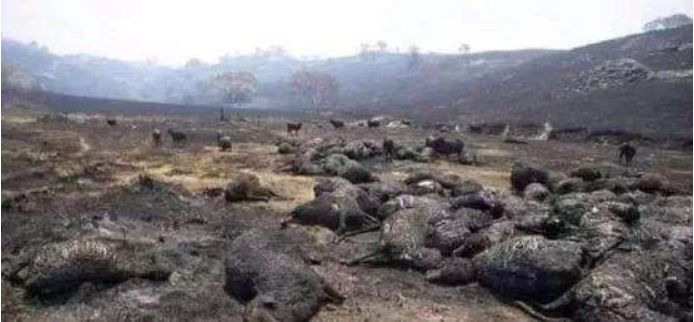 地球开启自救模式？科学发现:新冠正在阻止全球变暖！