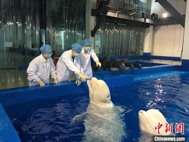 海口海关助力海南建设全球动植物种质资源引进中转基地