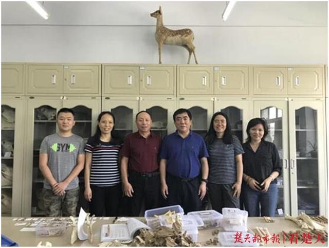探索大熊猫的前世今生,地大一成果入选中国古生物学十大进展