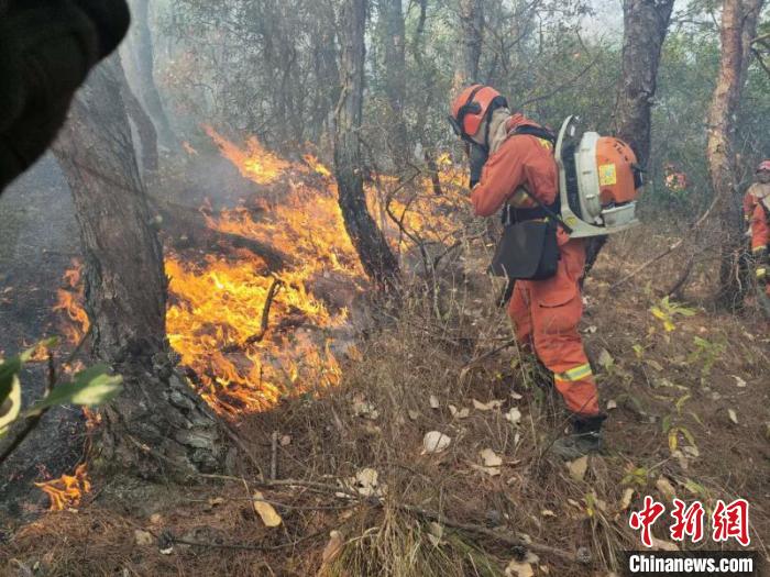 图为云南森林消防在火场扑火。云南省森林消防总队供图