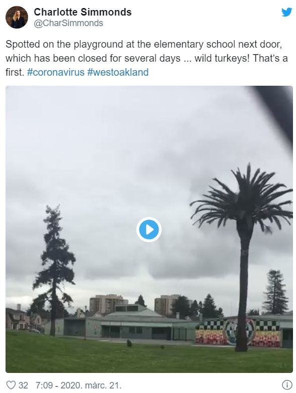 地球开启自救模式？科学发现:新冠正在阻止全球变暖！