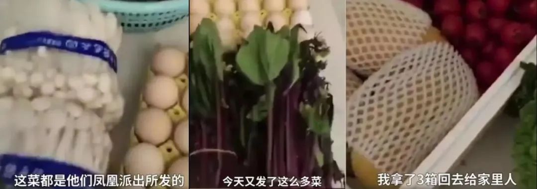 晒果蔬视频截图