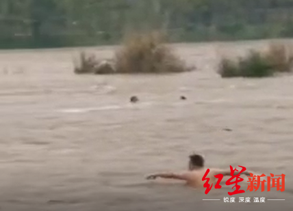 事发时,有见义勇为市民下水营救。现场视频截图