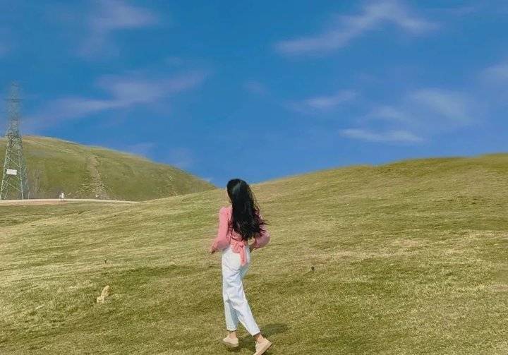 图片 | 小Z来了