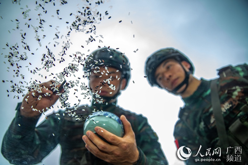 图为乐聚(左)和许海鹏(右)进行米粒分类训练,练耐心和细心。余海洋摄