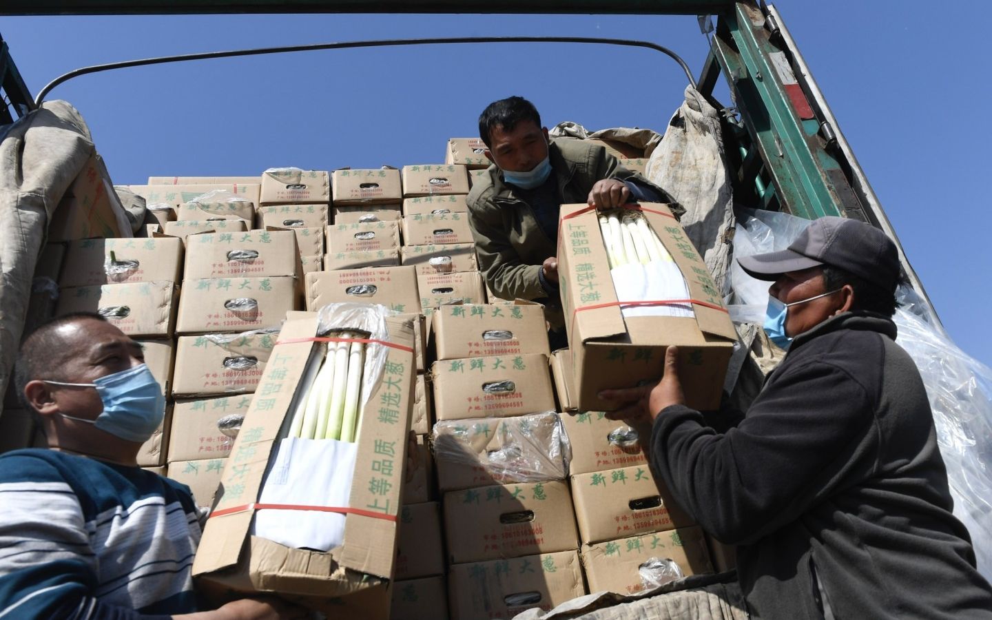 怎么样减少垃圾产生 45b5-isehnnk1445746.jpg