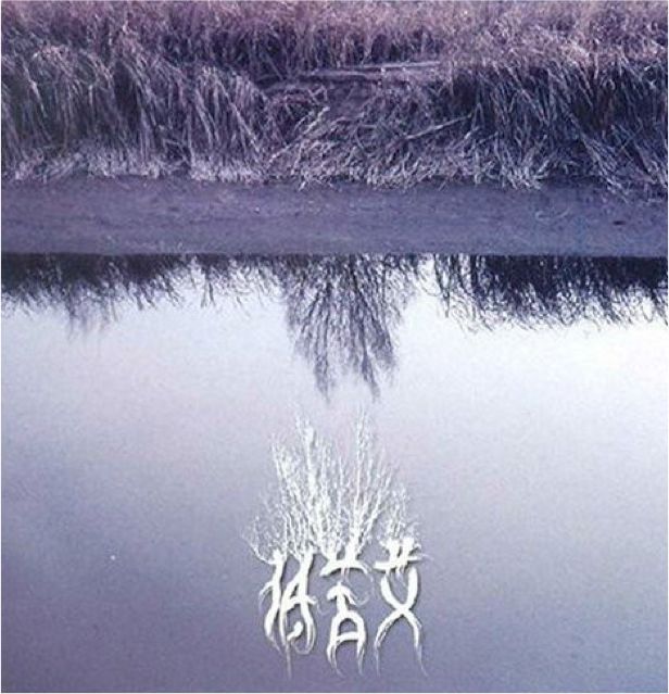 《丝路大讲堂》,“低苦艾”刘堃的音乐梦想与蝴蝶效应
