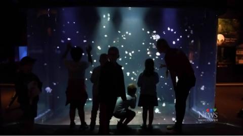 �չ�ǰ��ˮ��ݣ�CTV������Ƶ��ͼ��