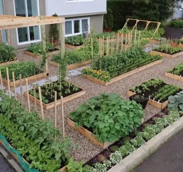 有一种菜园也叫花园乡村庭院私家花园景观绿化翻新改造设计