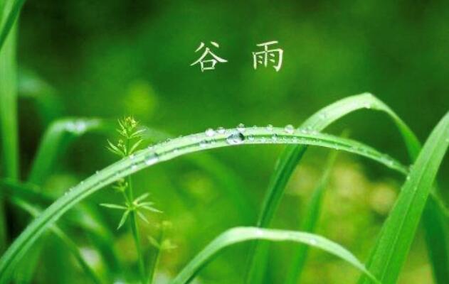 雨生百谷夏将至|济南小雨送走清明 周日气温略降