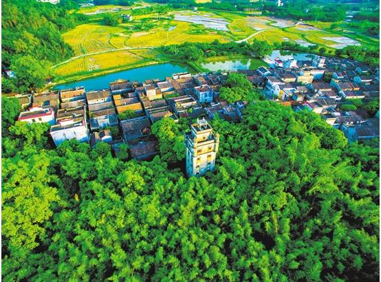 江门官方推荐!这些精品旅游线路千万别错过……