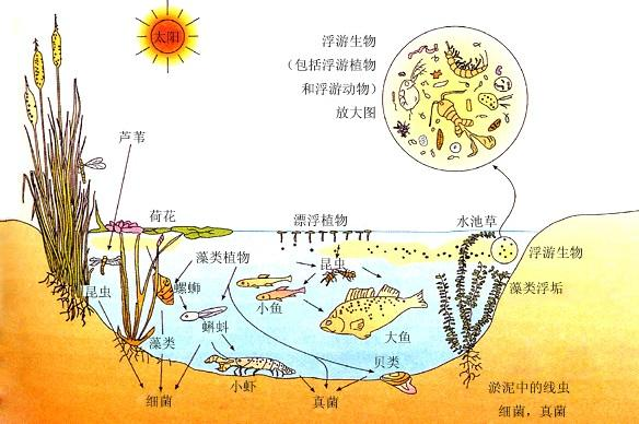 别大意,疫情二次爆发计算公式