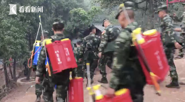 西昌森林火灾仍有明火 今日分三路发起扑火总攻