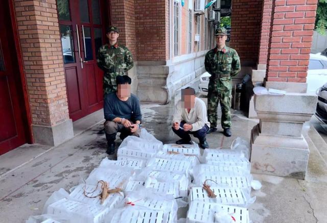 中国海警局等四部门开展“碧海2020”海洋生态环境保护专项执法行动
