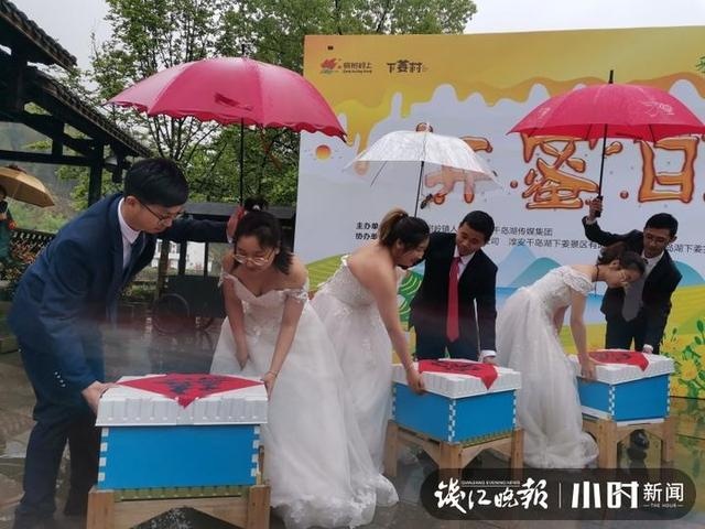 刚出炉的蜂蜜一扫而空,大下姜“开蜜日”三对新人见证甜蜜开箱