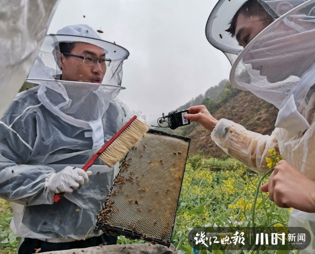 刚出炉的蜂蜜一扫而空,大下姜“开蜜日”三对新人见证甜蜜开箱