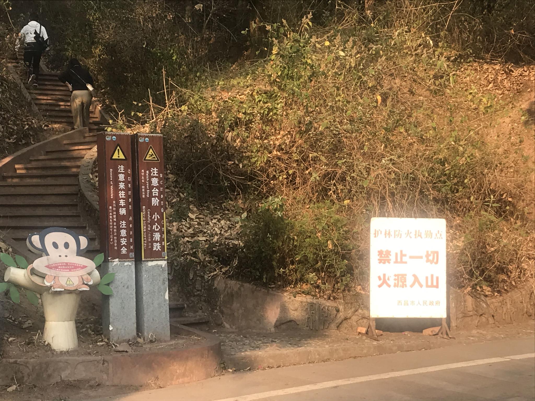 金阳有多少人口_金阳客车站图片(2)