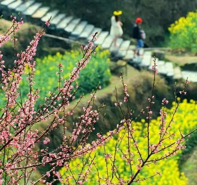 最美不过人间四月天清明踏青9个好地方