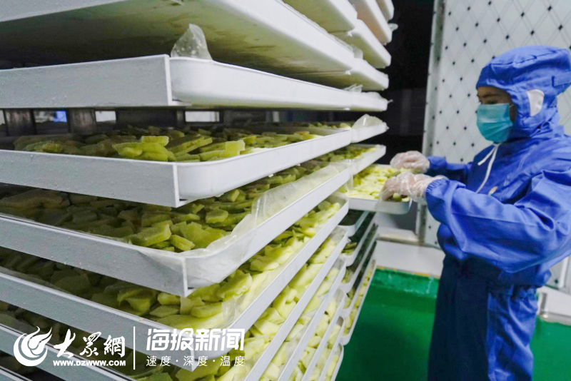 新批次山东援疆干部人才超半数为中高级职称 人才升级为新疆发展抱薪添柴