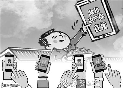 湖北省农业企业对复销信心满满 有消费者直呼“马上下单”