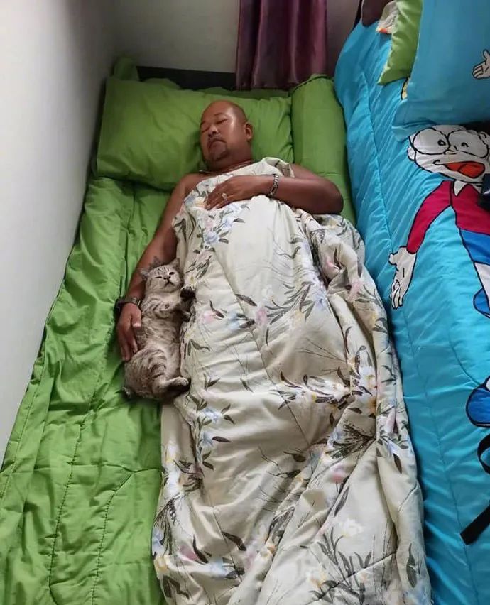 网友分享自从老爸养猫后,他本来睡床的,现在直接睡地上了!