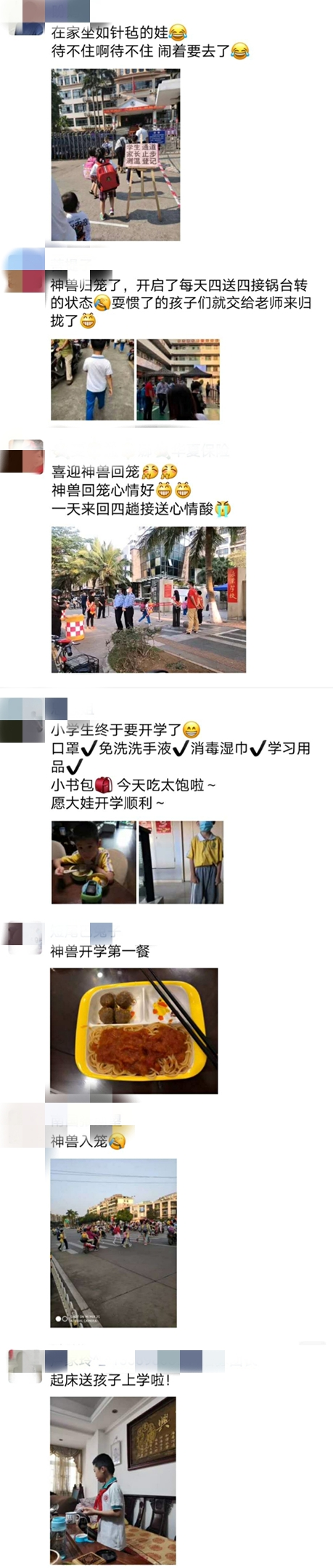 今天,海南"小神兽"们归笼了!家长们的朋友圈犹如过年