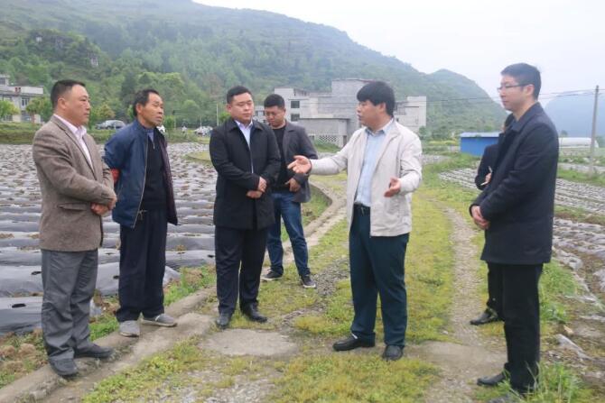 秦智坤到煎茶龙泉挂牌督战脱贫攻坚工作