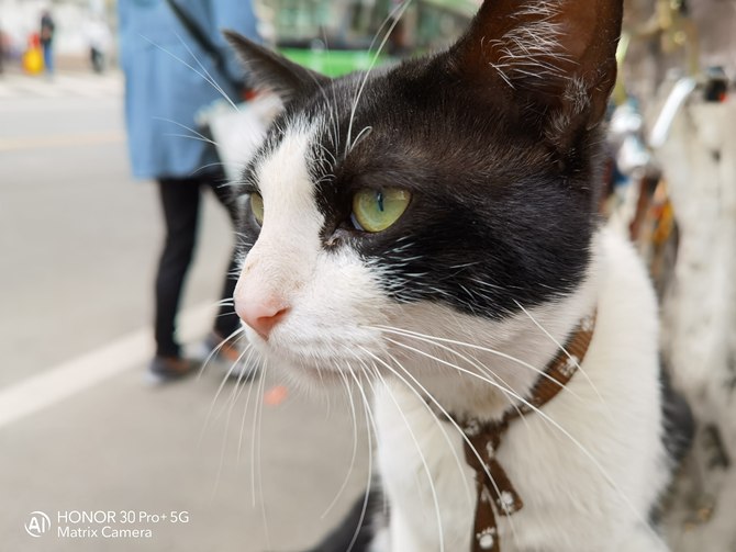 如何正确的撸猫 6def-iskepxt9932049.jpg